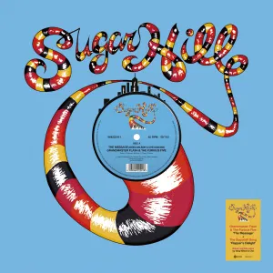 Rapper's Delight / The Message